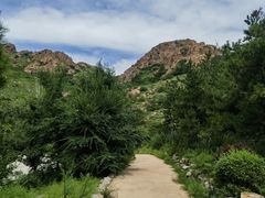 -红山国家森林公园