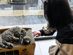 -扬州东关街文昌阁桔子水晶酒店