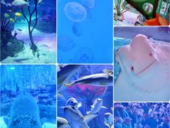 -沈阳海洋探索中心