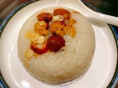 -梅龙镇酒家(南京西路总店)