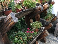 -慢丽江·云南野生菌土鸡锅(西山店)