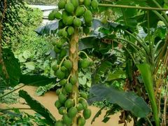 -邹记·美食(斗门店)