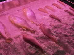 -廣味潮鲜·一品潮滋味(五道口店)
