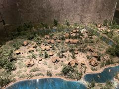 -上海崧泽遗址博物馆