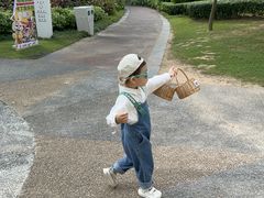 -三亚海棠湾喜来登度假酒店