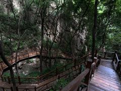 -大岭沟猕猴桃谷风景区