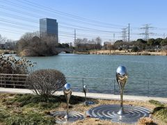 -九里河湿地公园