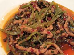 -陈麻婆豆腐(旗舰店)