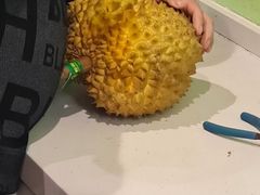 -唐桥水果批发市场