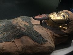 -香港科学馆