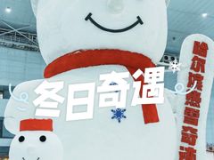 -哈尔滨热雪奇迹