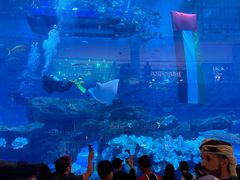 -迪拜水族馆及水下动物园