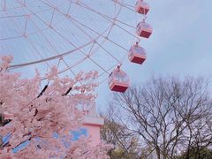 -东湖磨山景区