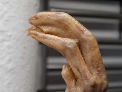 -澳门陈光记烧味饭店(郎家园店)