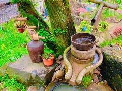 -桑洲油菜花景区