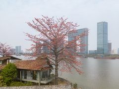 -喜洲吧·江畔老船厂·庭院餐厅(喜临院店)