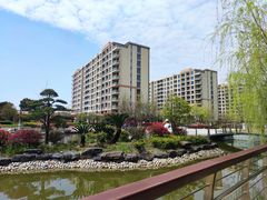 -梧桐人家中国太平国际健康颐养社区