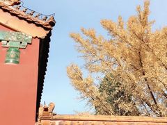 -故宫博物院(故宫)