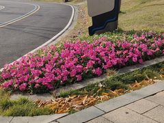 -牛岗山公园