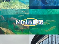 -上海长江河口科技馆