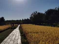 -北坞公园