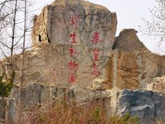 -秦皇岛野生动物园