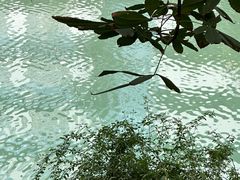 -成都市活水公园