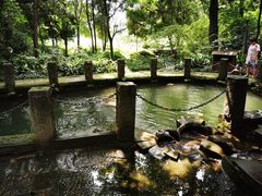 -成都市活水公园