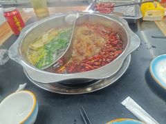 -金鼎雪山牦牛杂火锅(理县总店)