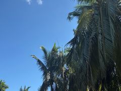 -三亚湾海居雅高铂尔曼度假酒店
