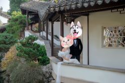 -雪中彩影婚纱摄影·微光艺术中心