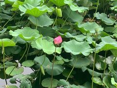 -3W咖啡(国家软件园店)