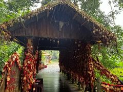 -莫里热带雨林景区