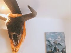 -古树酸奶(八廓南街店)