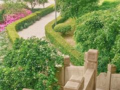 -嘉定紫藤园