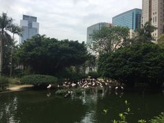 -九龙公园