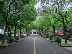 -上海市实验学校