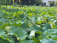 -丝绸小镇荻港古村