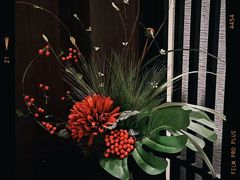 -大妙火锅·非物质文化遗产(东湖公园店)
