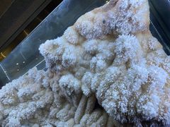 -湖南省地质博物馆