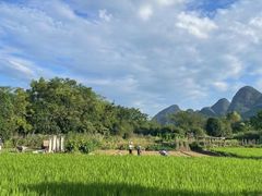 -村上春树
