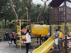 -枫香湖儿童公园