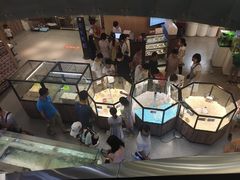 -宠物世家(仲盛世界商城店)