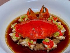 -新光酒家·河豚·海鲜·蟹料理(浦东店)