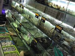 水产区-覃记海鲜美食餐厅