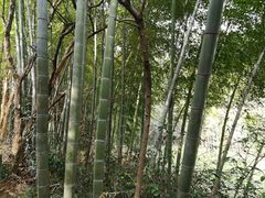 -敬亭山风景名胜区