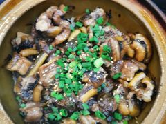 -红星光发煲仔饭(大石街店)