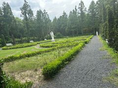 -东平国家森林公园