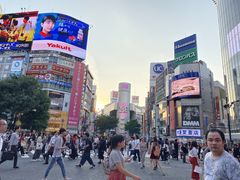 -涩谷区