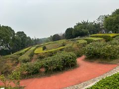 -铁山坪森林公园